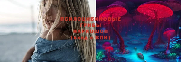 индика Сосновка