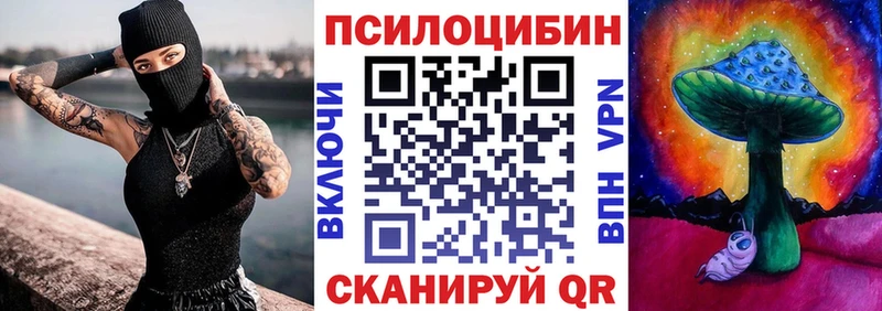 KRAKEN зеркало  Задонск  Галлюциногенные грибы Magic Shrooms 